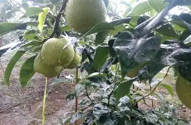 爱游戏官网 -??篂?妼3阹0梨t 